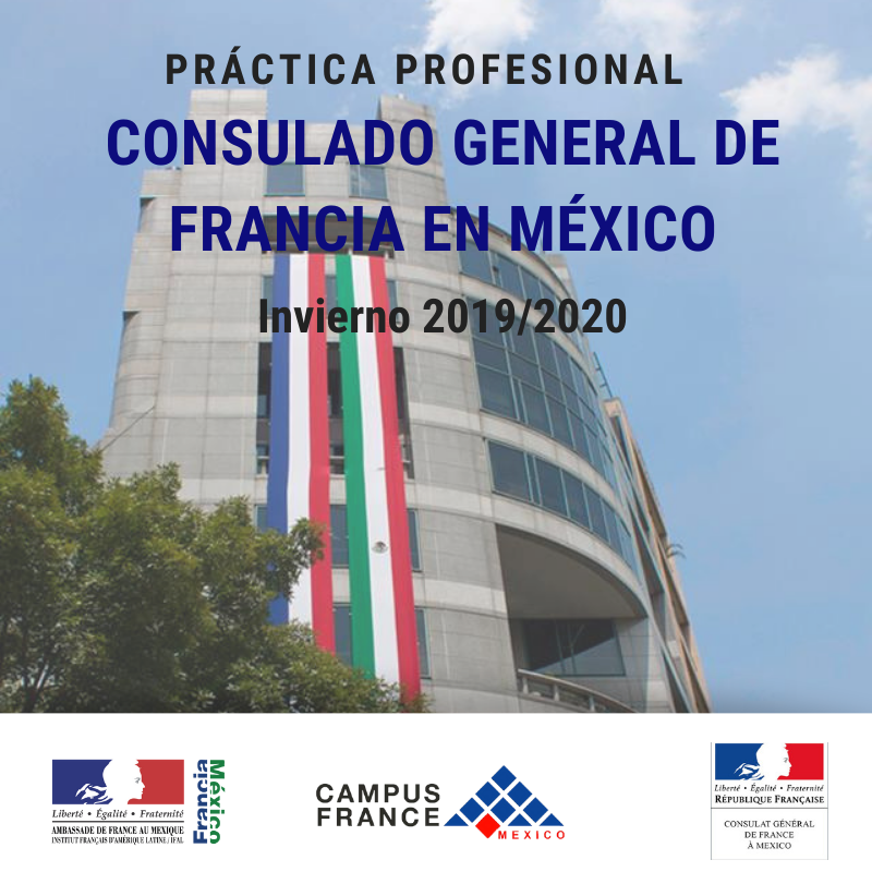 Práctica profesional en el Consulado General de Francia: Invierno 2019/ ...